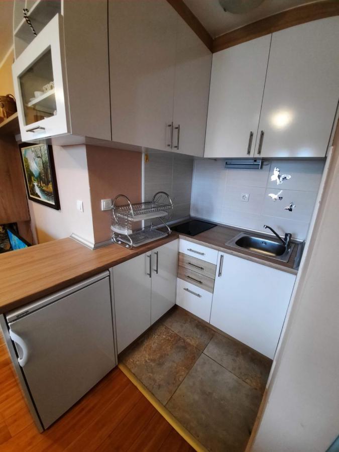 Fit Apartman Zlatibor Eksteriør bilde